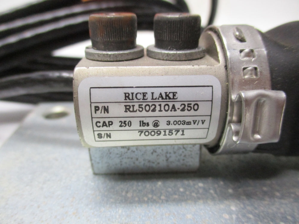 RICE LAKE RL50210A-250 NSMP