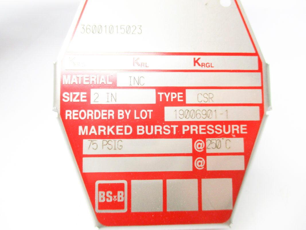 BS&B 19006901-1 75PSI 250'C NSMP