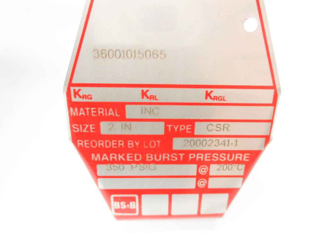 BS&B 20002341-1 350PSI 200'C NSMP