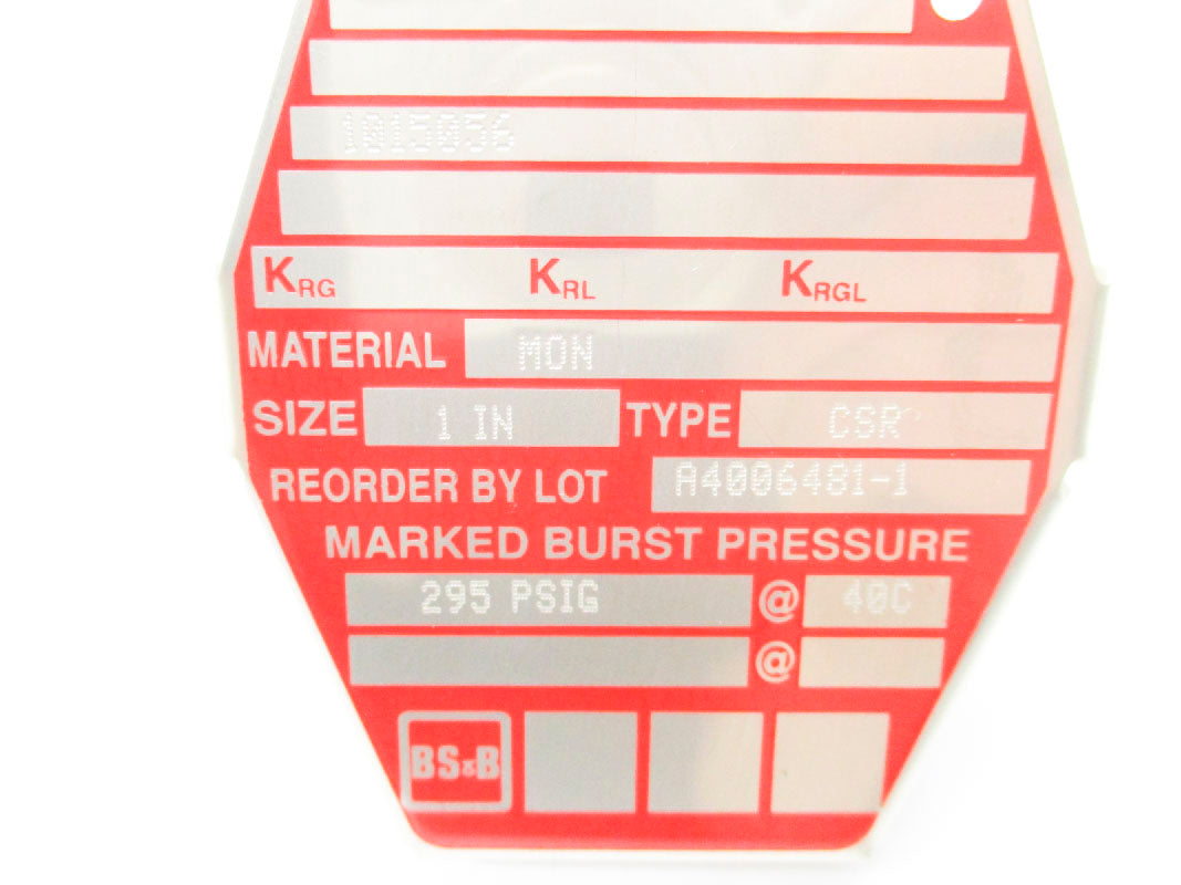 BS&B A4006481-1 295PSI 40'C NSMP