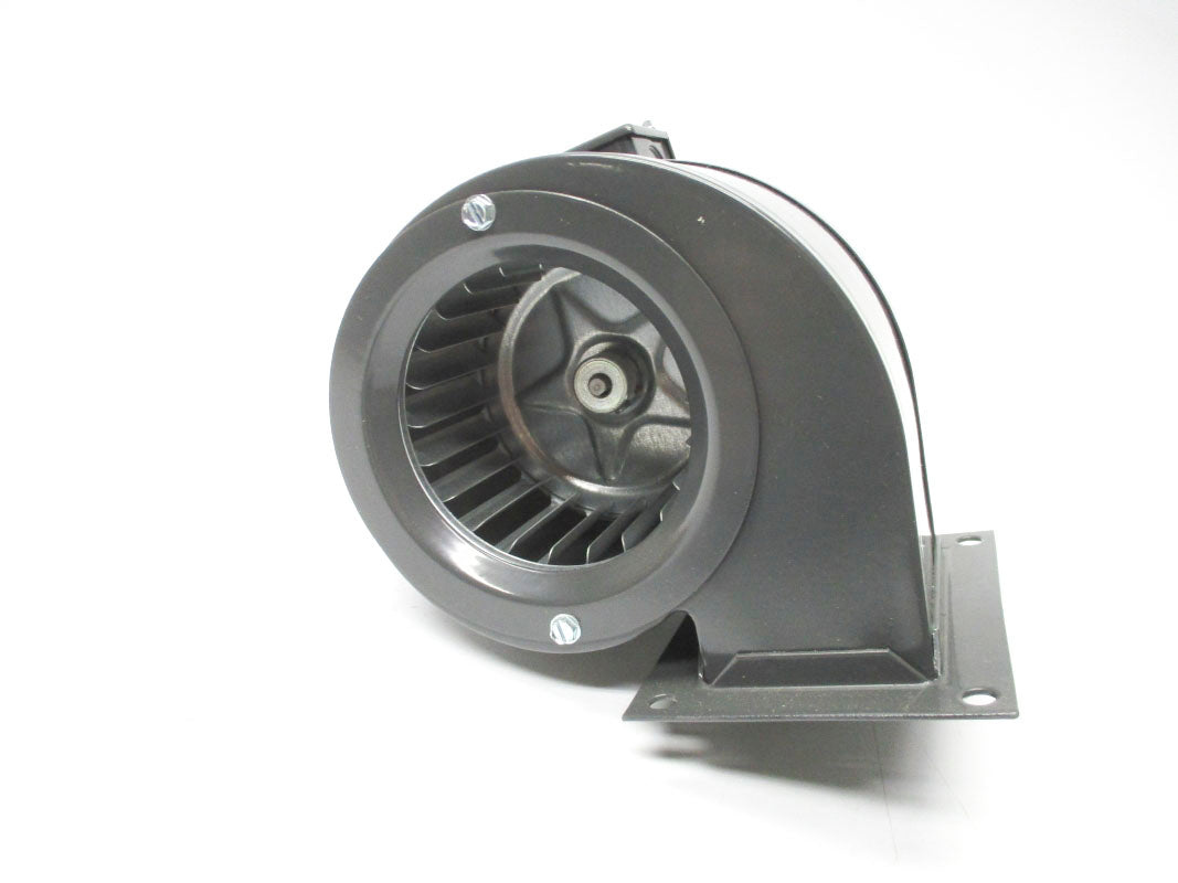 DAYTON 6FHX8 115V NSMP