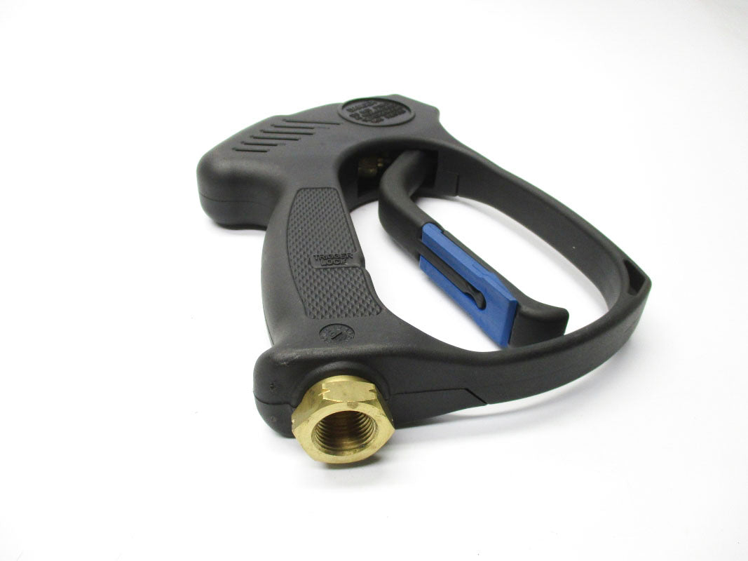 DAYTON 3XU70 4500PSI 300'F NSMP