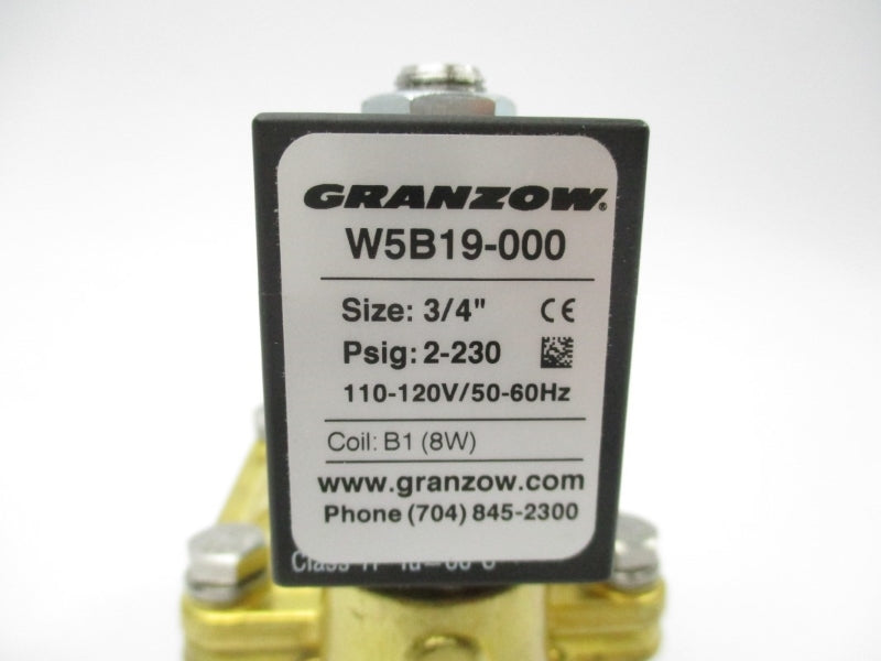 GRANZOW W5B19-000 110-120V 2-230PSI NSMP