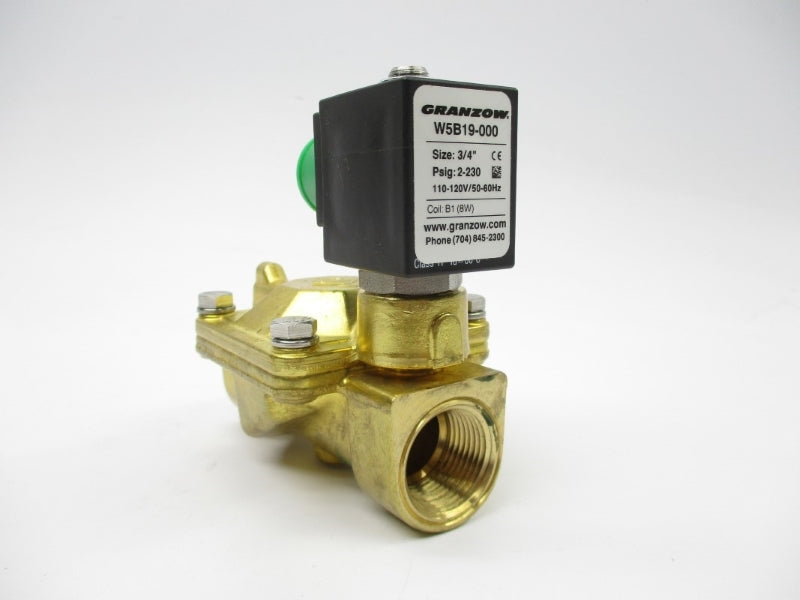GRANZOW W5B19-000 110-120V 2-230PSI NSNP