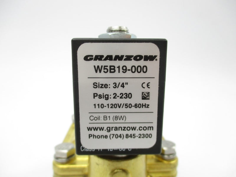 GRANZOW W5B19-000 110-120V 2-230PSI NSNP