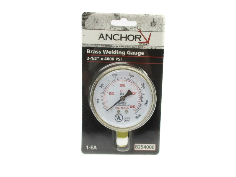 ANCHOR B254000 0-4000PSI NSMP