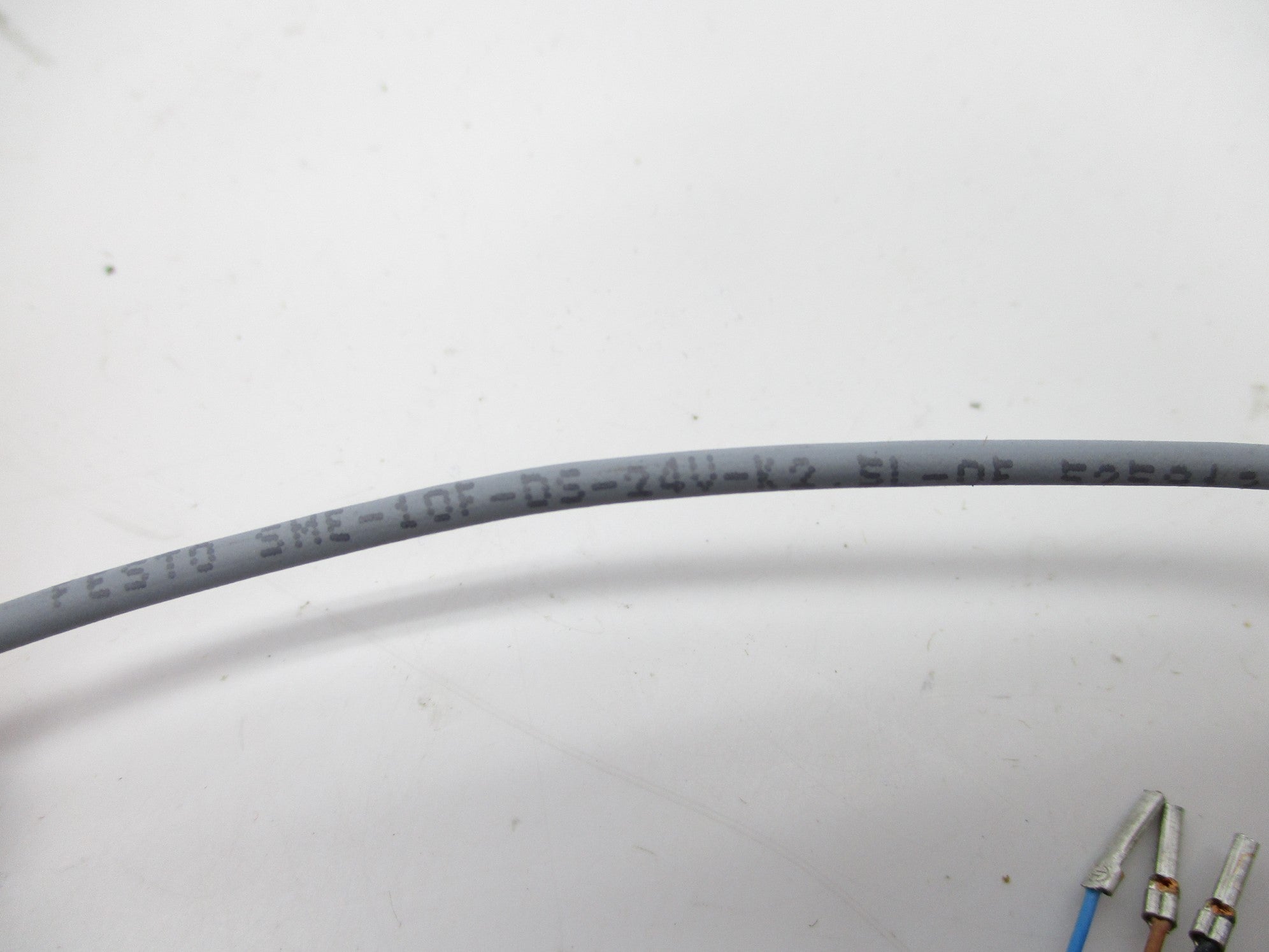 FESTO SME-10F-DS-24-K2.5L-OE NSNP