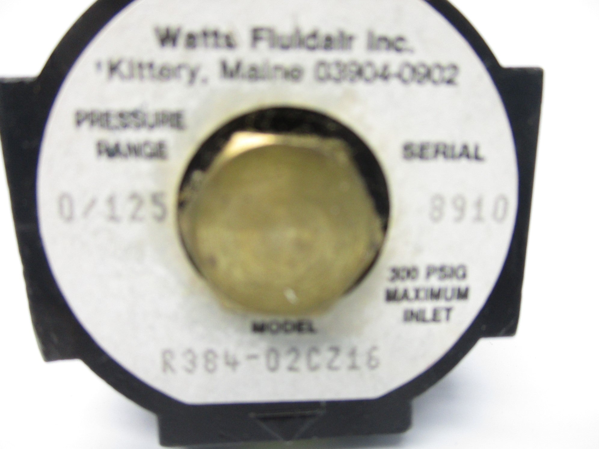 WATTS R384-02CZ16 300PSI NSNP