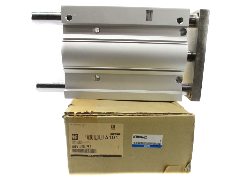 SMC MGPM100N-250 NSMP