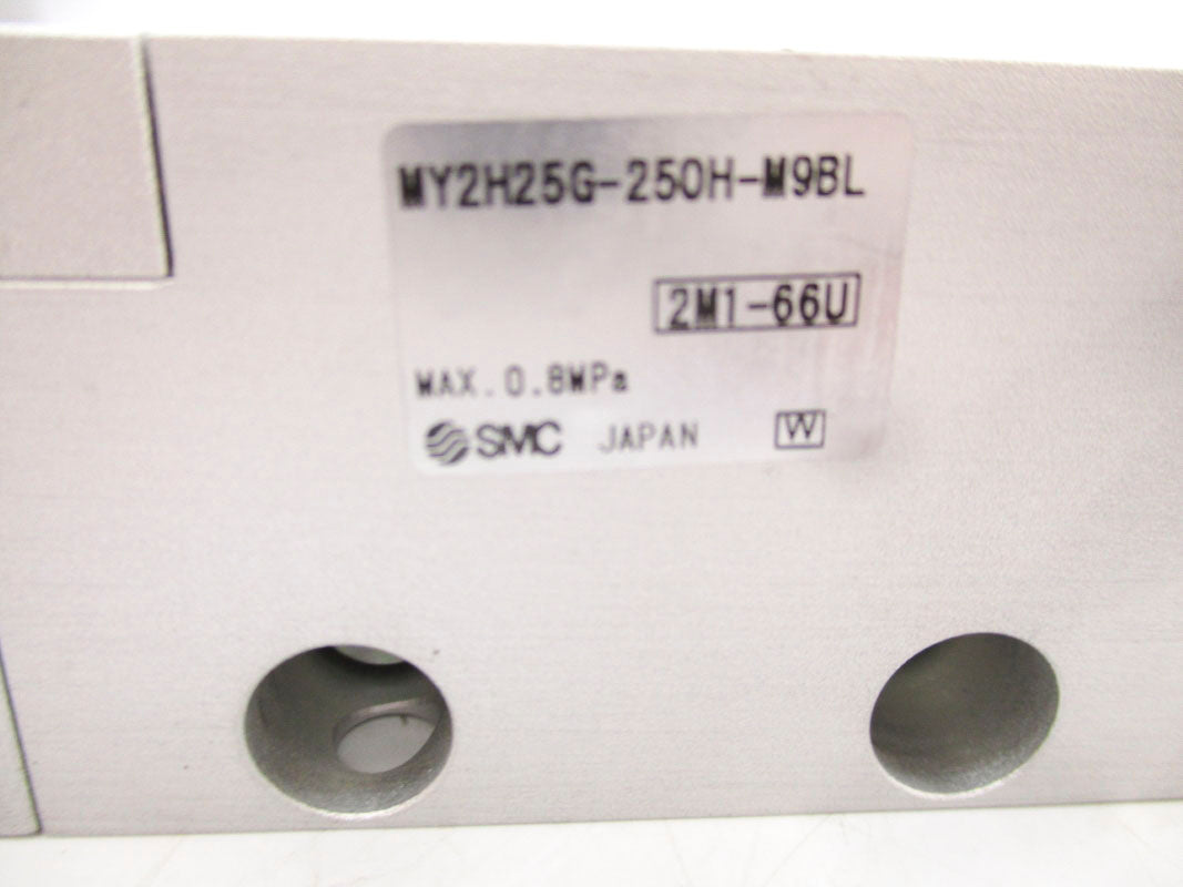 SMC MY2H25G-250H-M9BL NSNP