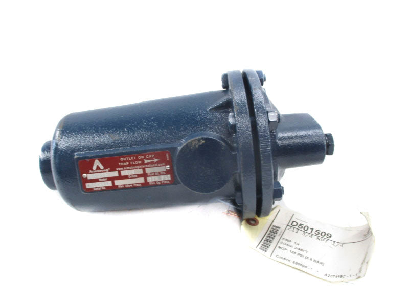 ARMSTRONG D501509 213 125PSI 3/4" NSNP