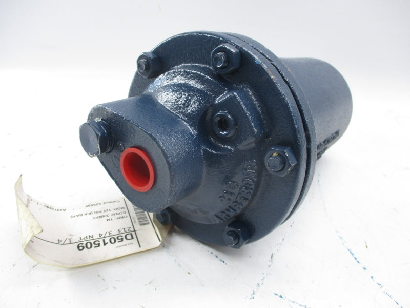 ARMSTRONG D501509 213 125PSI 3/4" NSNP