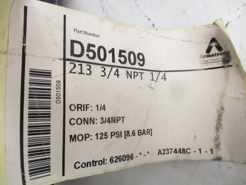 ARMSTRONG D501509 213 125PSI 3/4" NSNP