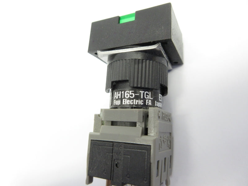 FUJI ELECTRIC AH165-TGLGE3 250VAC 5A NSNP