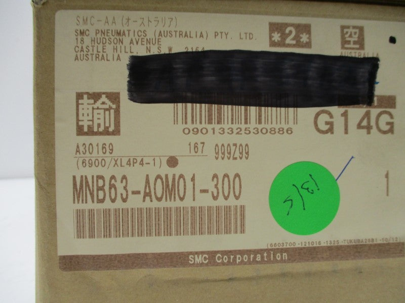SMC MNB63-AOM01-300 NSMP