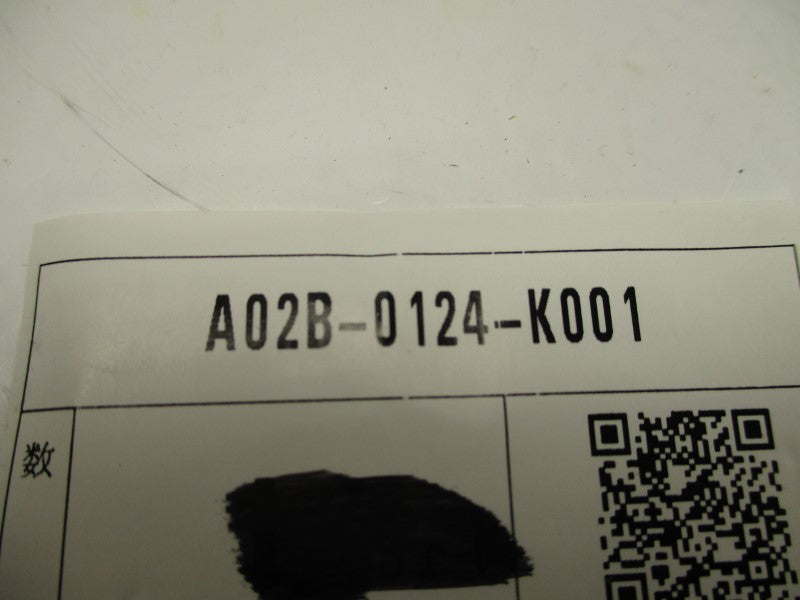 FANUC A02B-0124-K001 NSNP