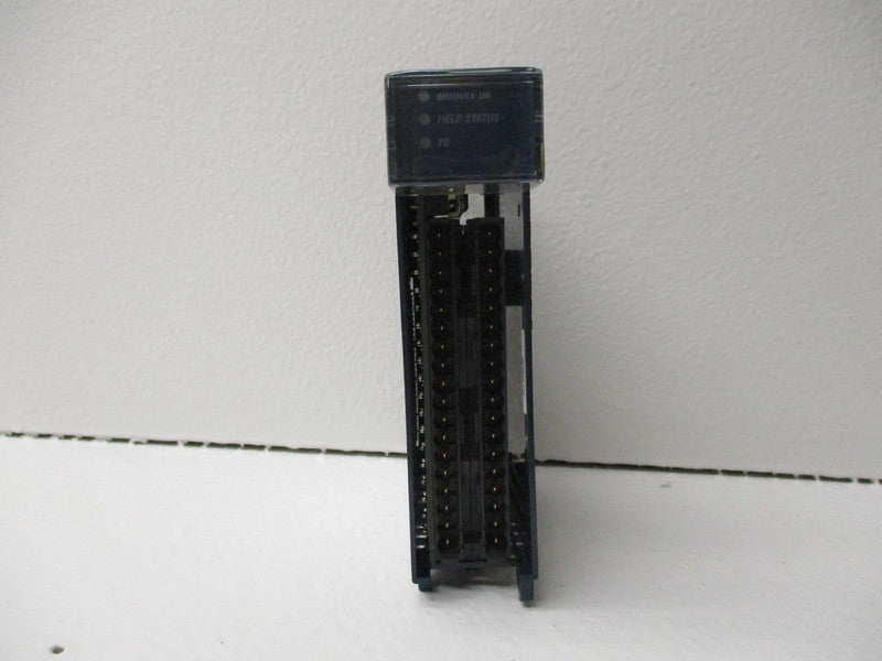 GE FANUC IC695ALG608-EA 3.3VDC NSNP