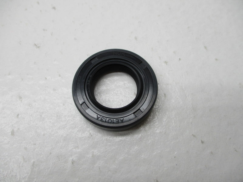 NOK AE1013A NSNP