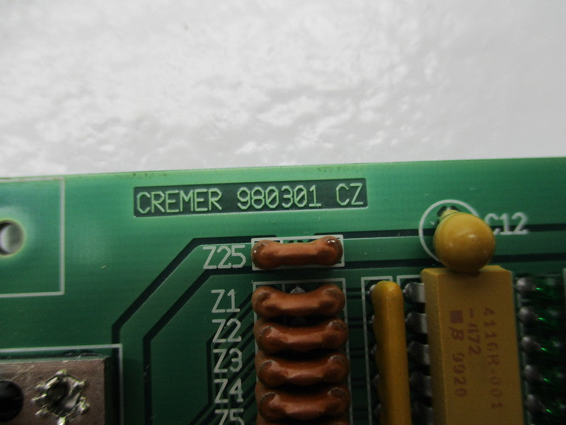 CREMER 980301  NSNP