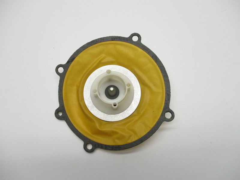 ALGAS A2553-2 NSNP