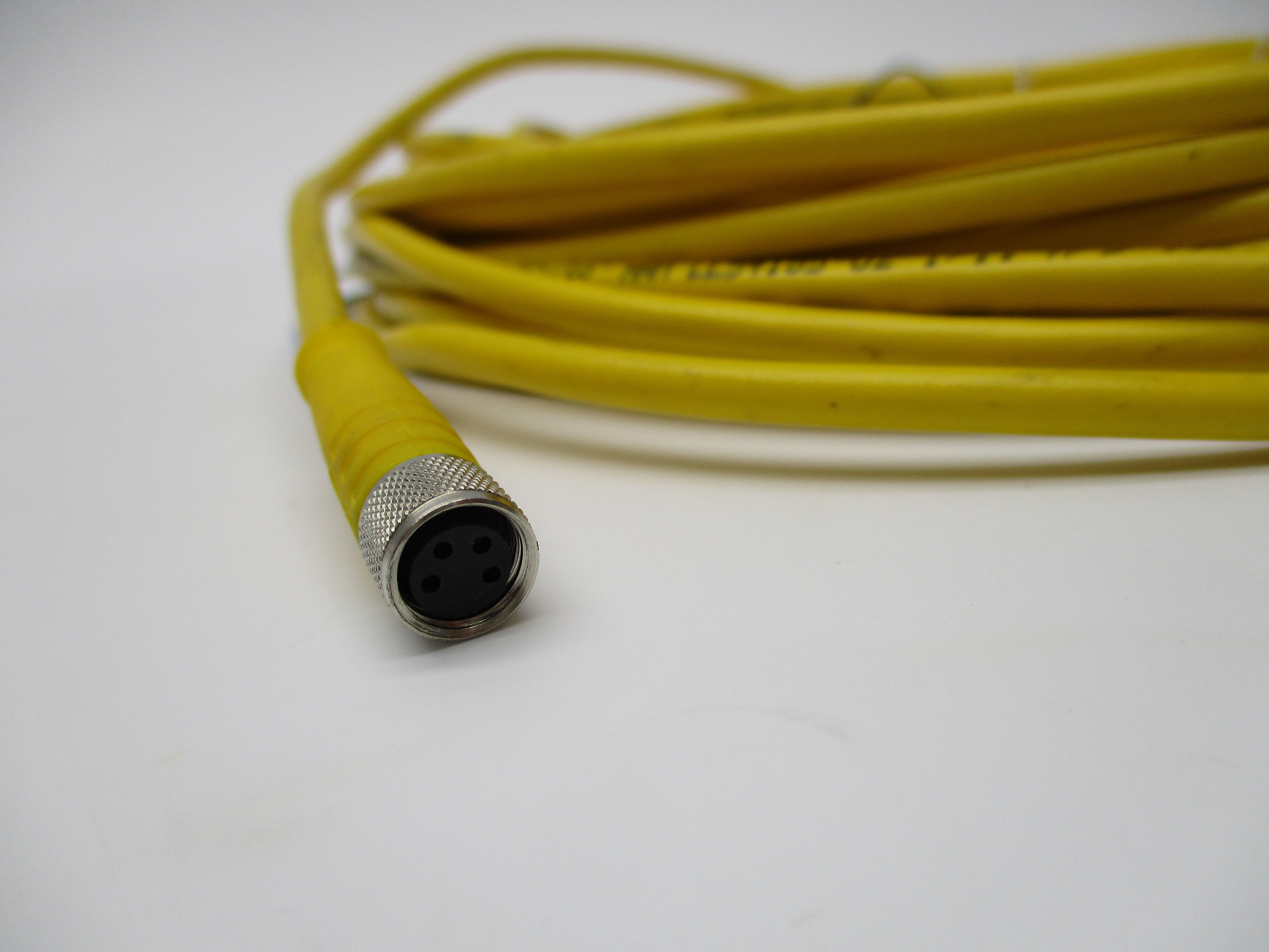 TURCK PKG4M-10 MOLDED CORDSET *NEW NO BOX*