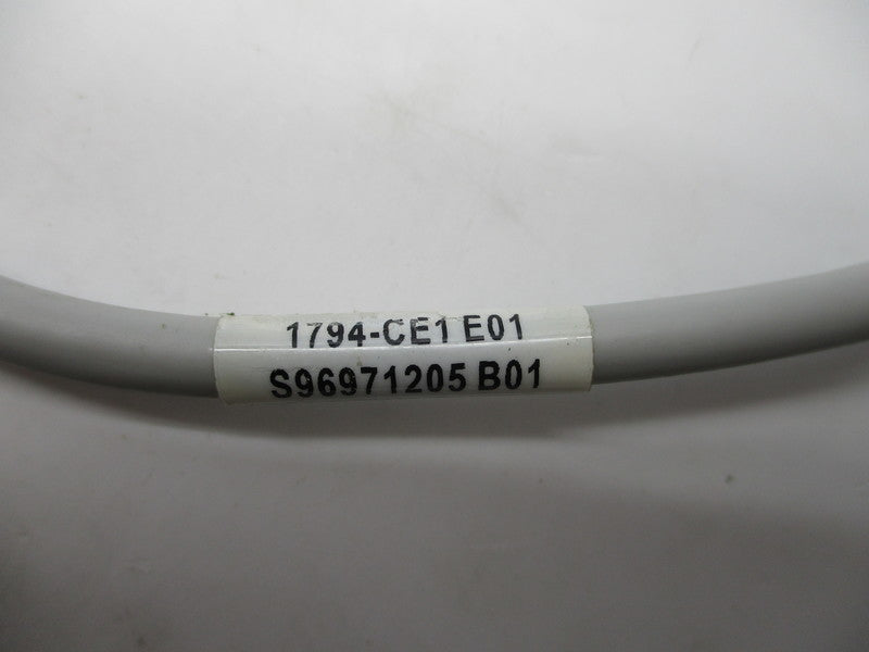 ALLEN BRADLEY 1794-CE1E01 NSNP