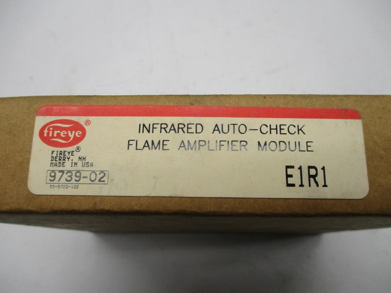 FIREYE E1R1 NSFS