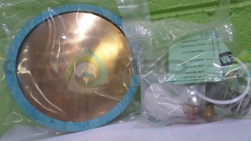 WATTS 0875725 REPAIR KIT *NEW IN BOX*