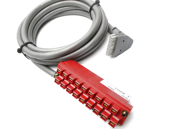 ALLEN BRADLEY 1492-CABLE25C SER. B NSNP