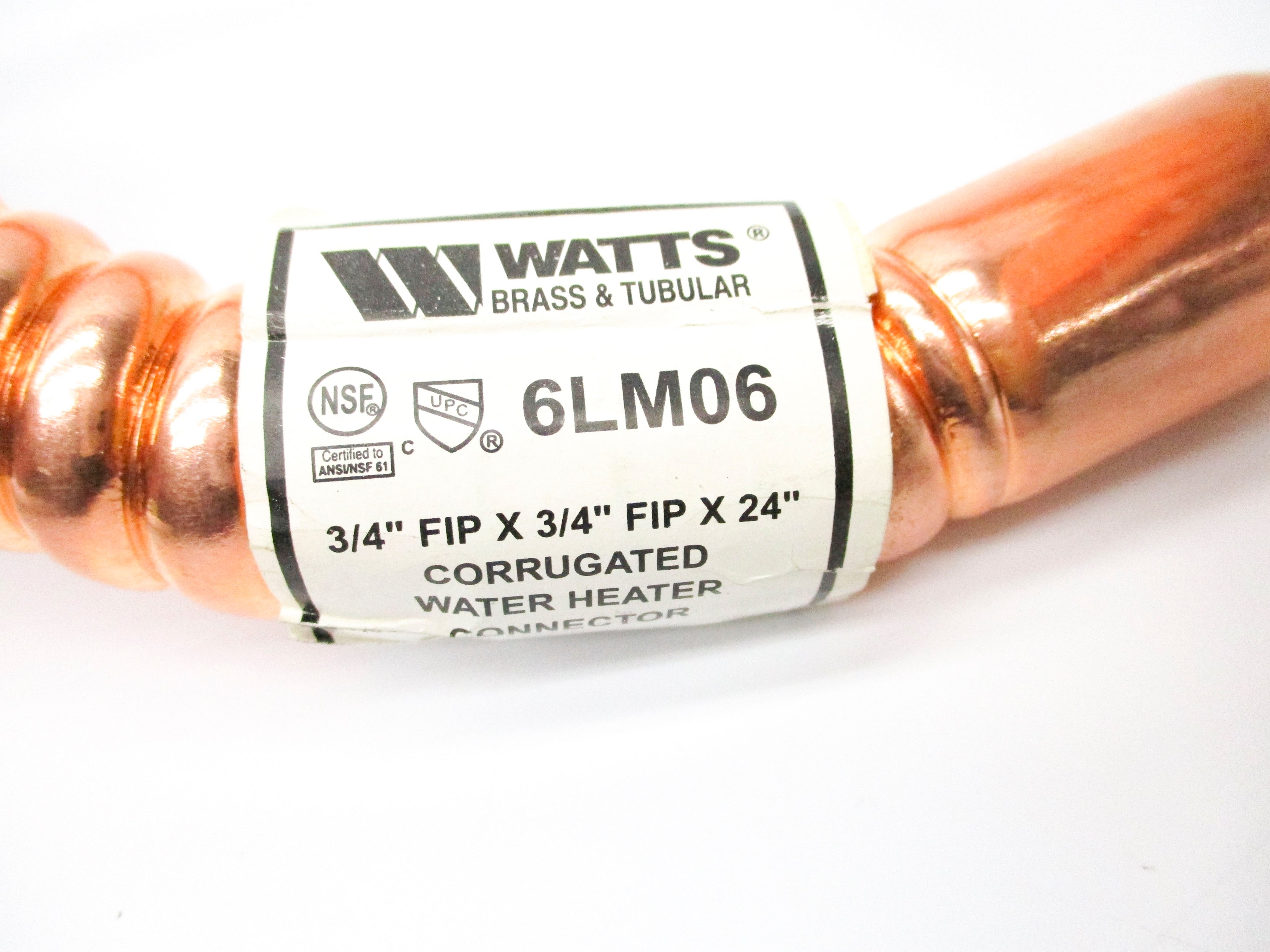 WATTS 6LM06 NSNP