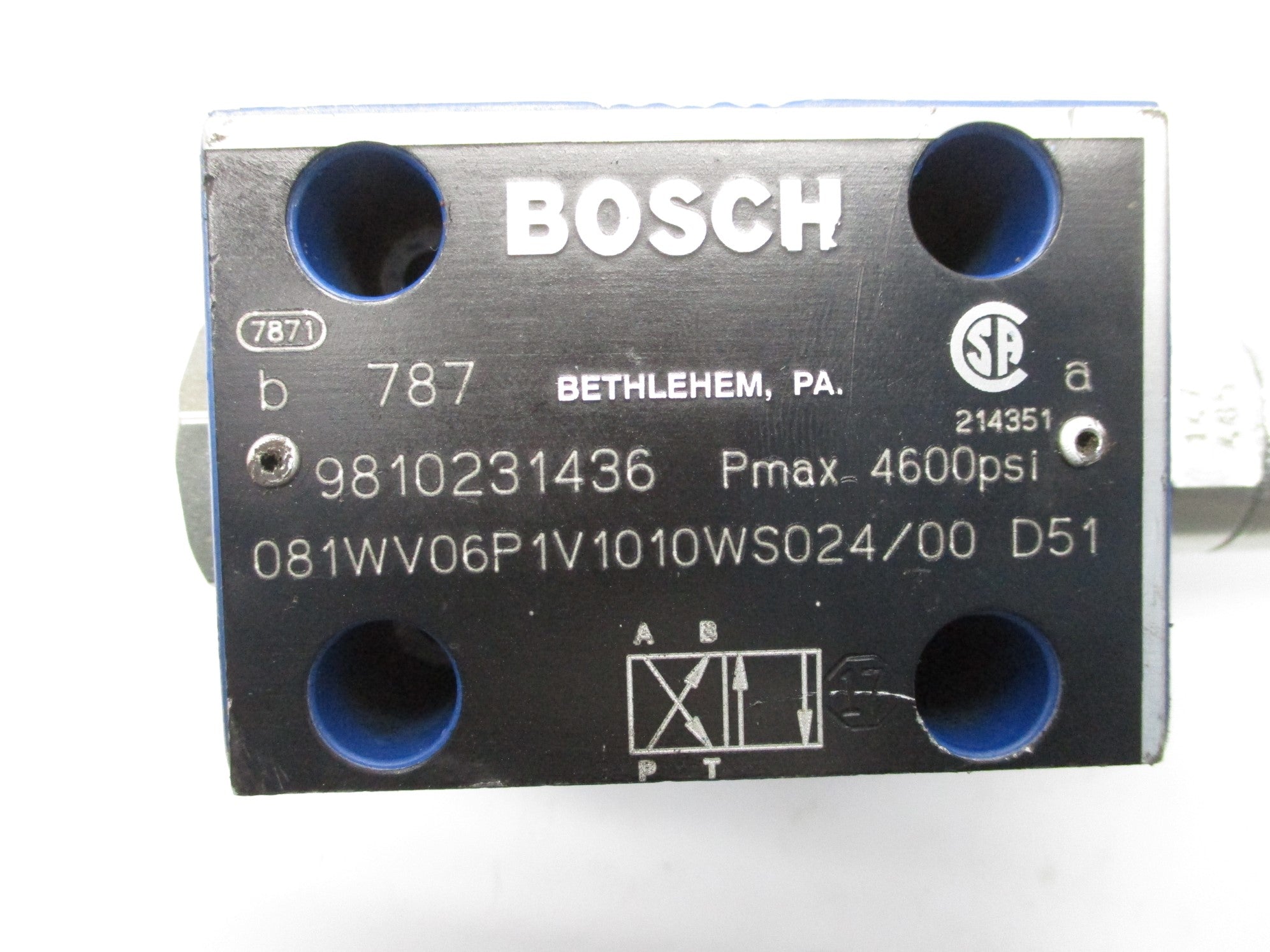 BOSCH 081WV06P1V1010WS024/00D51 9810231436 4600PSI NSNP