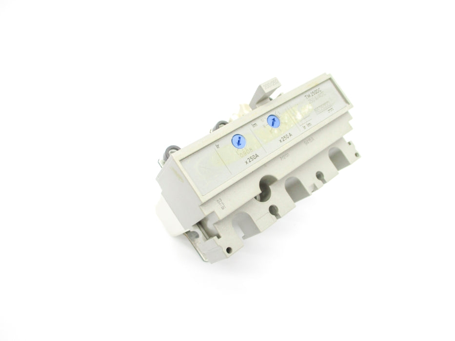 SCHNEIDER ELECTRIC TM250DC NS250DC NSNP