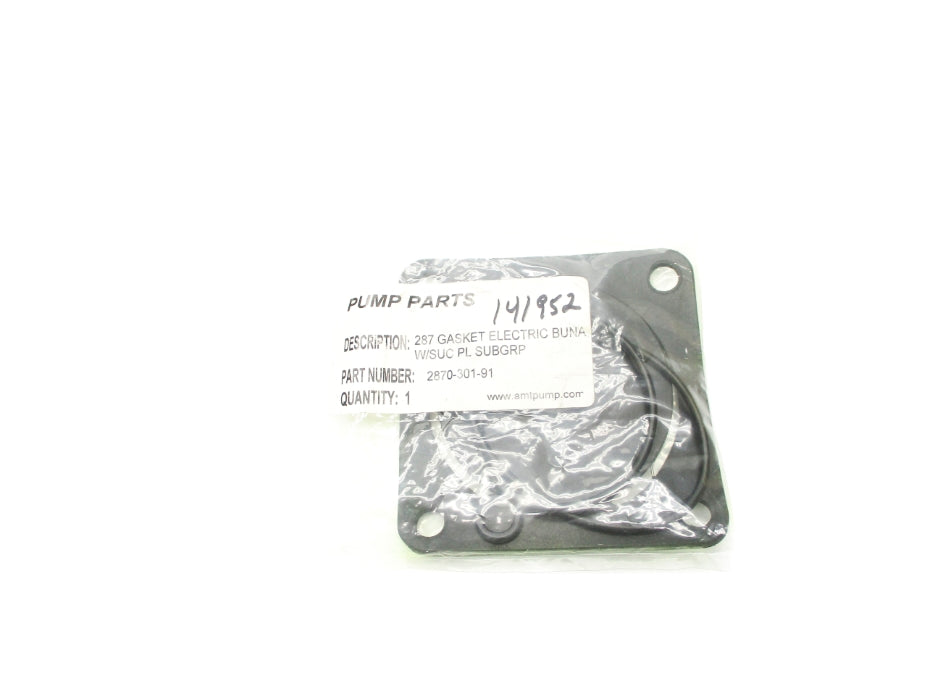 AMTPUMP 2870-301-91 NSMP