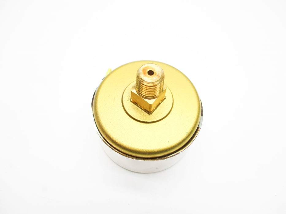 WIKA 9318178 100PSI NSMP