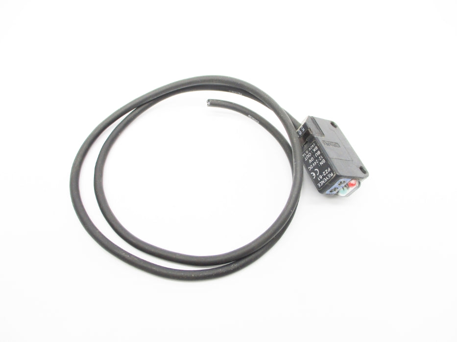 KEYENCE PZ2-61 12-24VDC UNMP