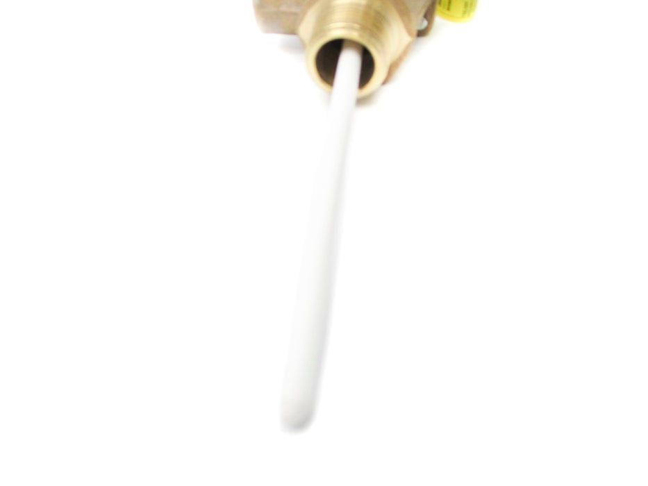 WATTS 0156481 3/4-40XL-125210 125PSI NSMP