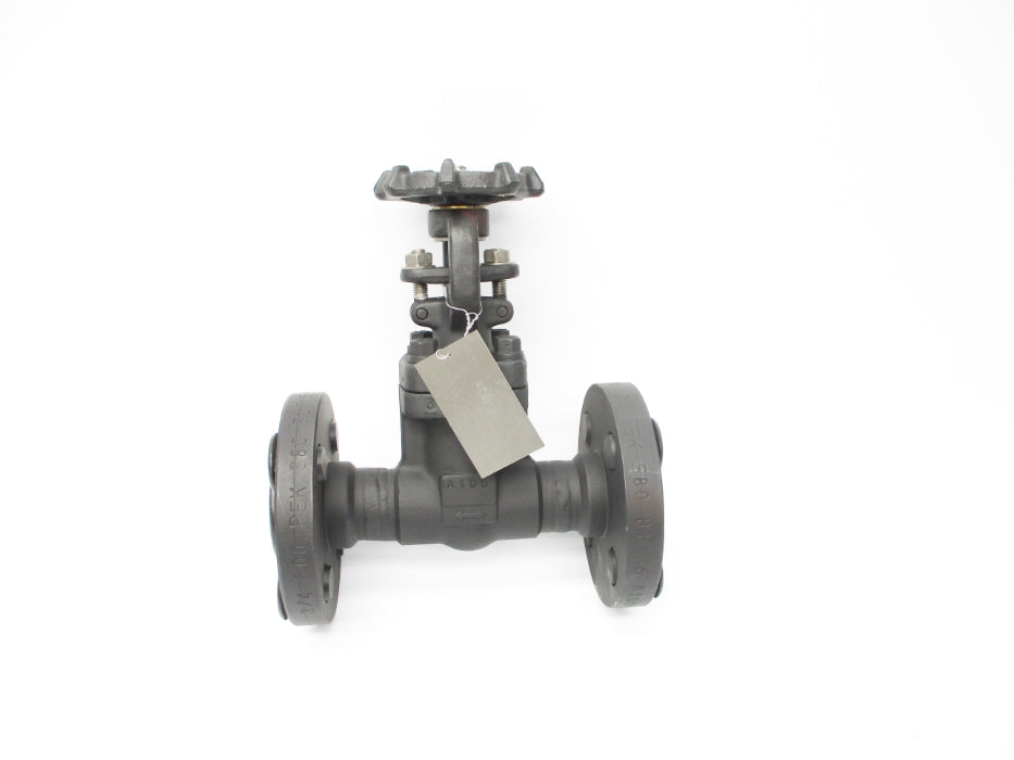 EG&G 3/4-600 ANSIBI6.34CL600 NSNP