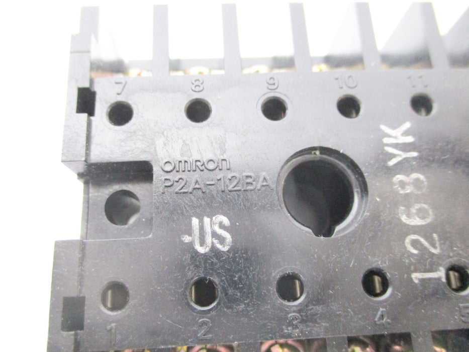 OMRON P2A-12BA NSNP