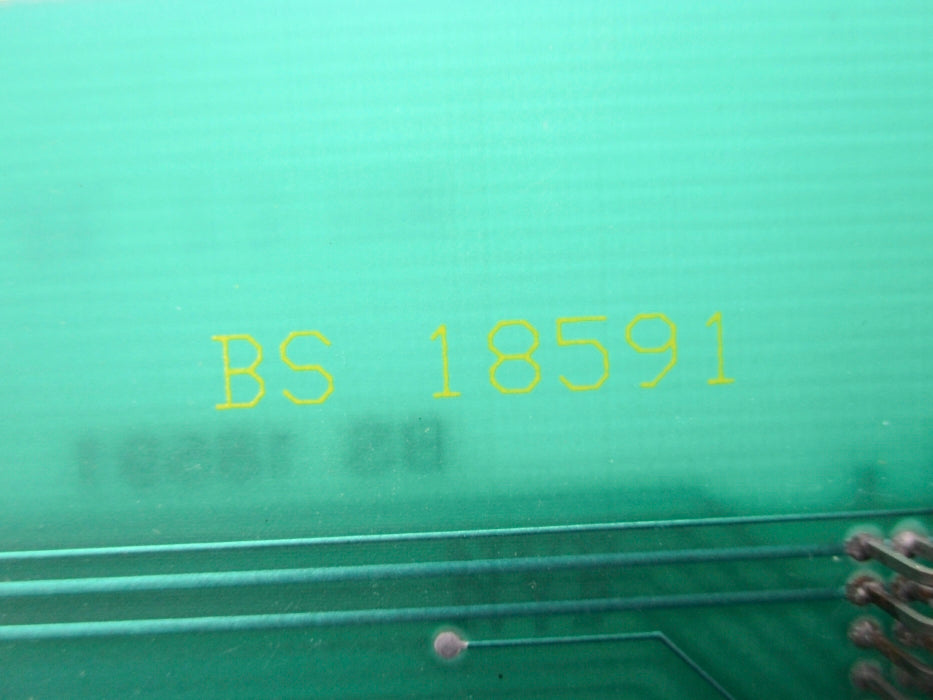 BETA RAVEN BS18591 NSNP