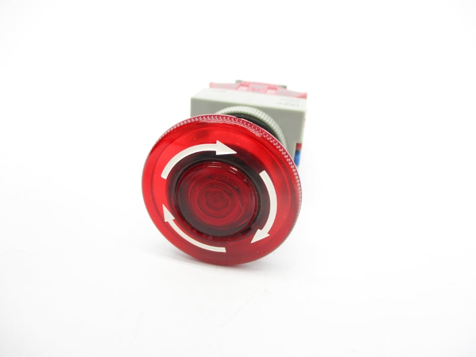 IDEC AVLW49911D-R-24V NSNP