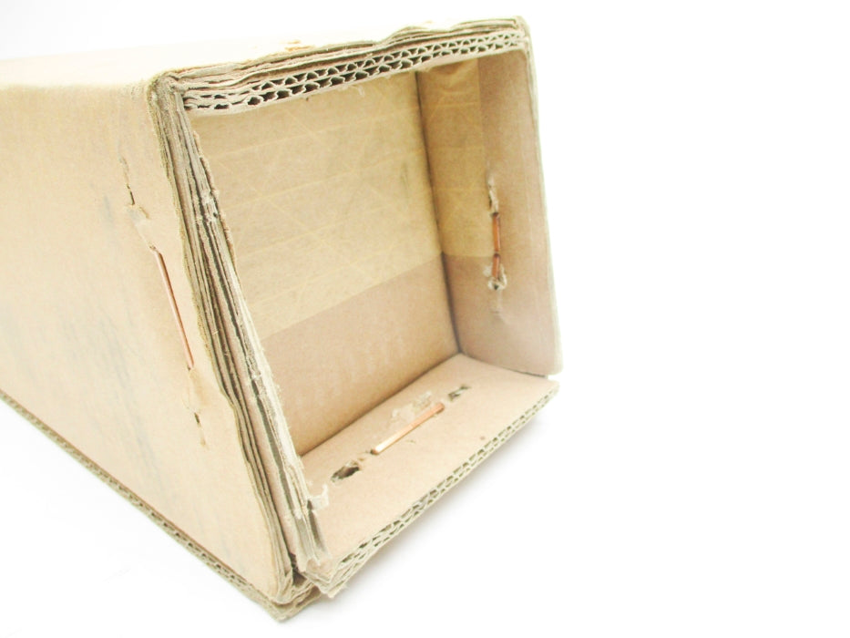 ENDRESS+HAUSER CPA450-0C210 NSFS