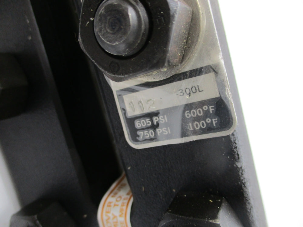 JERGUSON 112-300L 750PSI NSNP