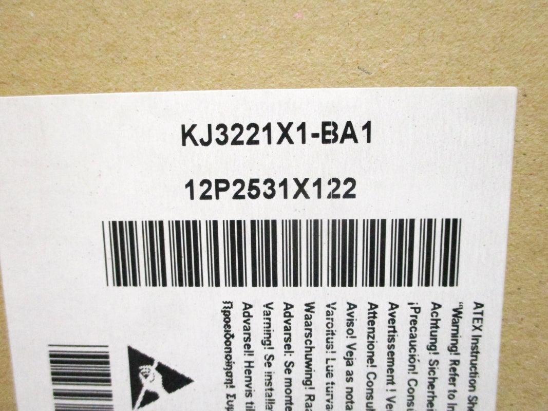 FISHER ROSEMOUNT KJ3221X1-BA1 12P2531X122 NSMP
