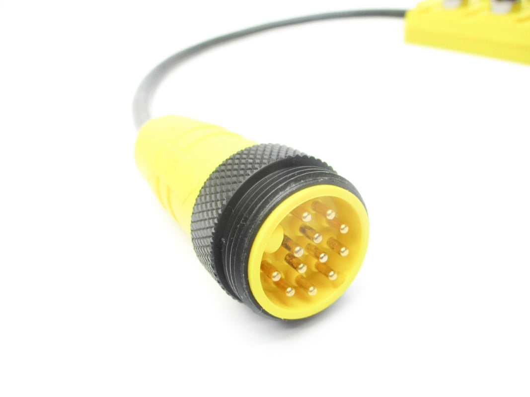 LUMBERG ASB8/LED5-4-331-RS120M NSNP