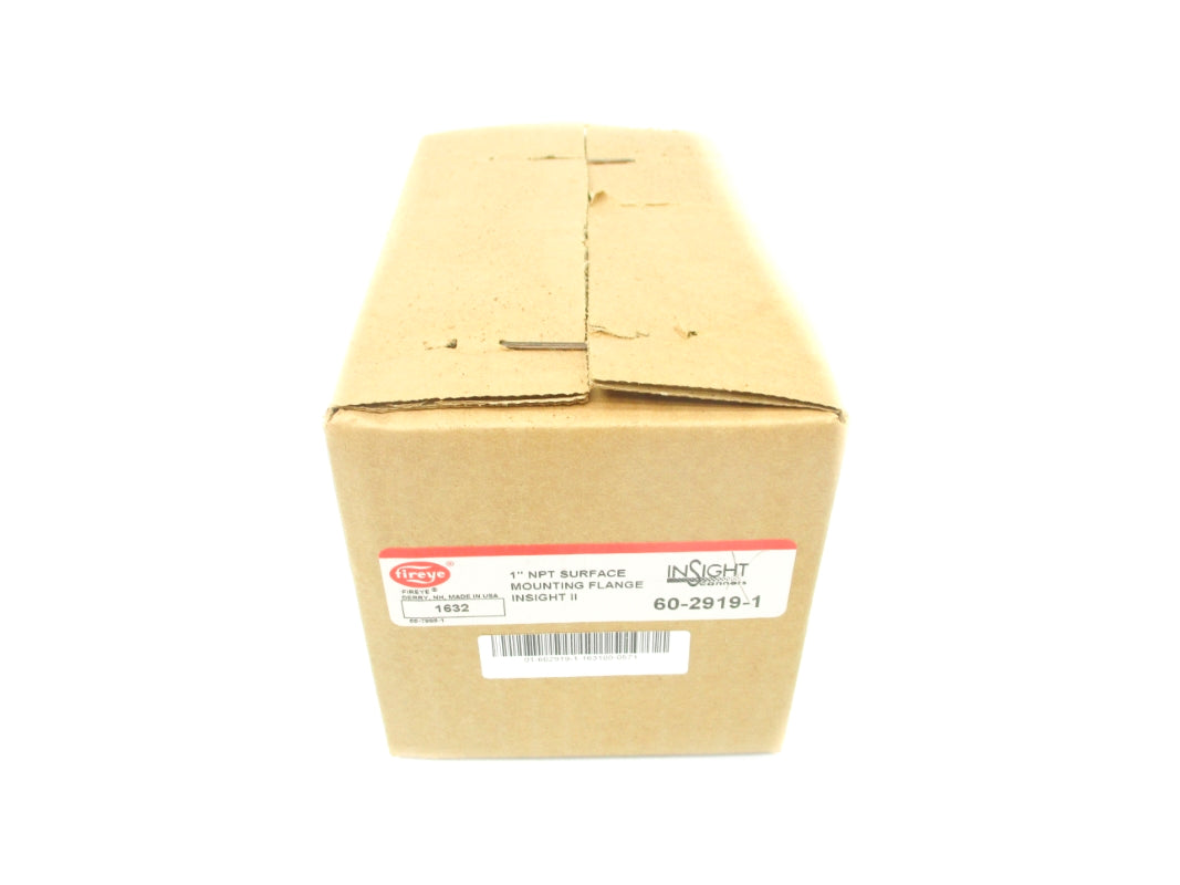 FIREYE 60-2919-1 NSFS