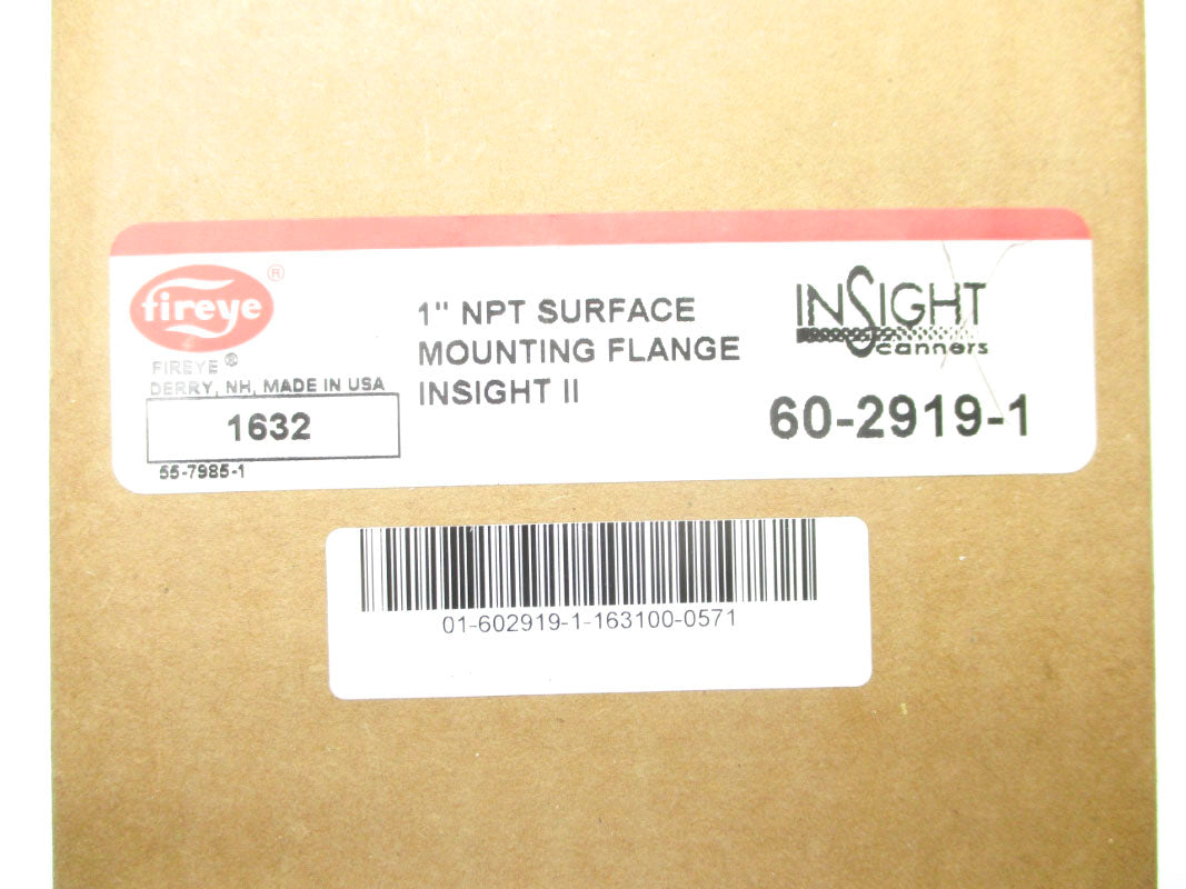 FIREYE 60-2919-1 NSFS