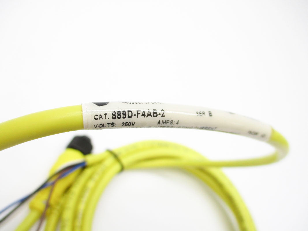 ALLEN BRADLEY 889D-F4AB-2 SER. B 250V 4A NSNP
