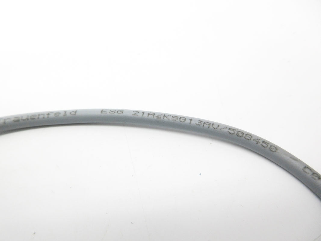 BAUMER ESG21A/KSG13AV/508450 NSNP