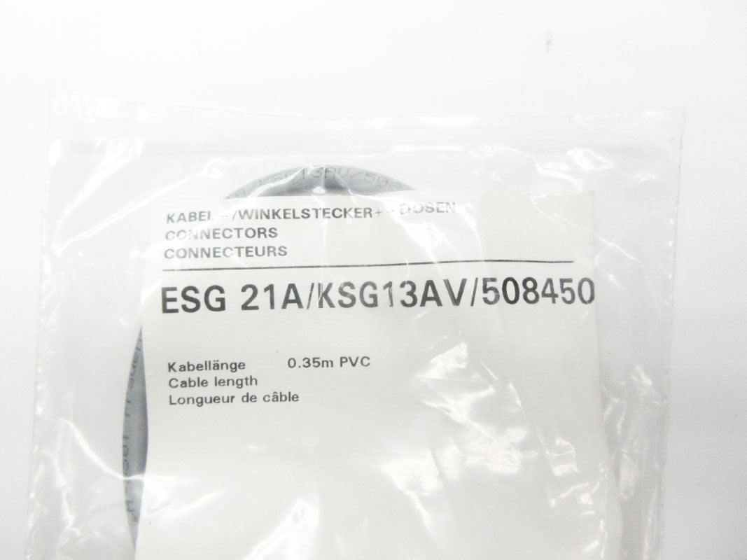 BAUMER ESG21A/KSG13AV/508450 NSMP