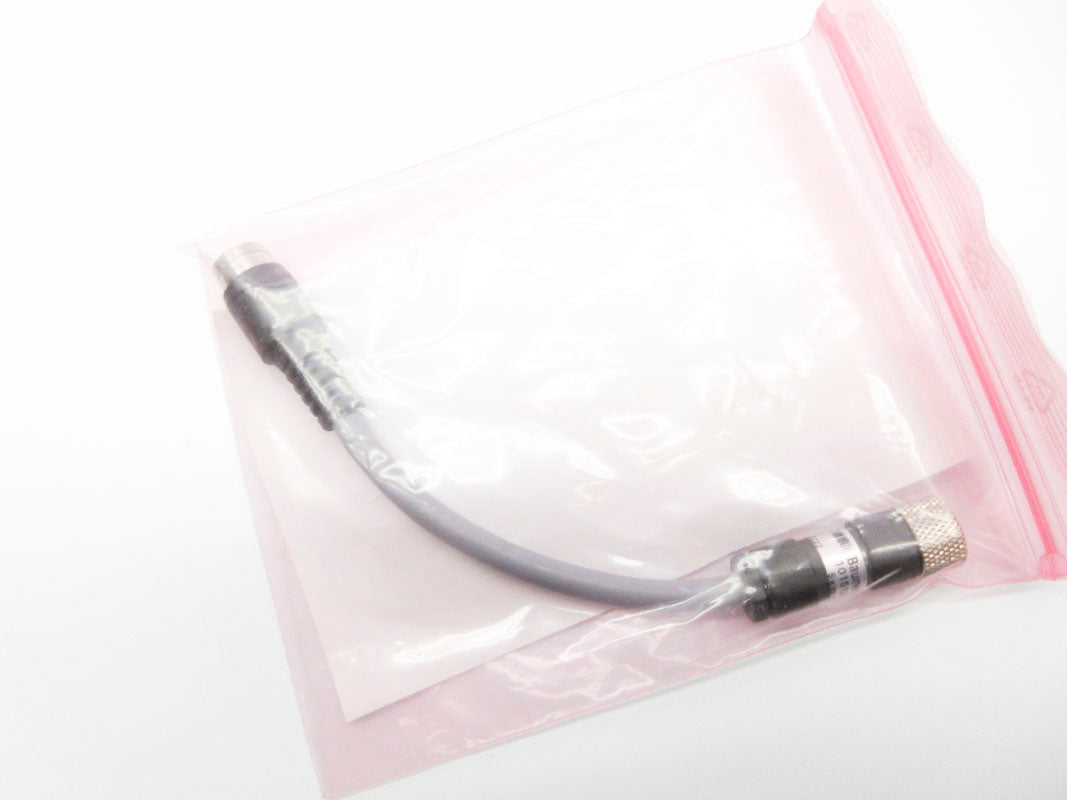 BAUMER ESG21A/KSG13A0015/SW2/WS4 NSMP
